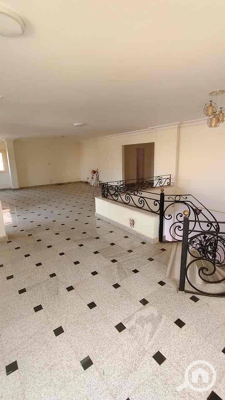 5 1bd131a7-343d-4fdd-af6f-ef8890f9a126. jpg