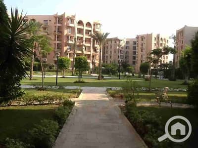 فلیٹ 4 غرف نوم للايجار في القاهرة الجديدة، القاهرة - 1000565616. jpg