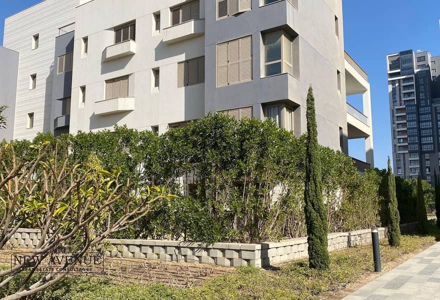 2 4e3edb12-6408-468f-8664-b7a79cee13c0_original (9). jpg