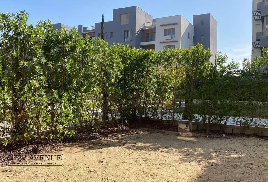 10 4e3edb12-6408-468f-8664-b7a79cee13c0_original (13). jpg