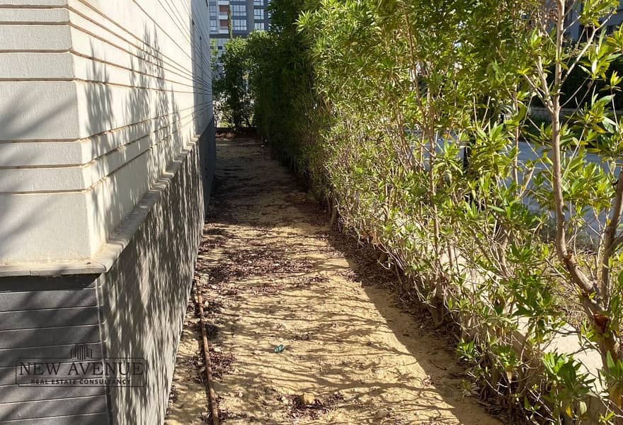 12 4e3edb12-6408-468f-8664-b7a79cee13c0_original (12). jpg