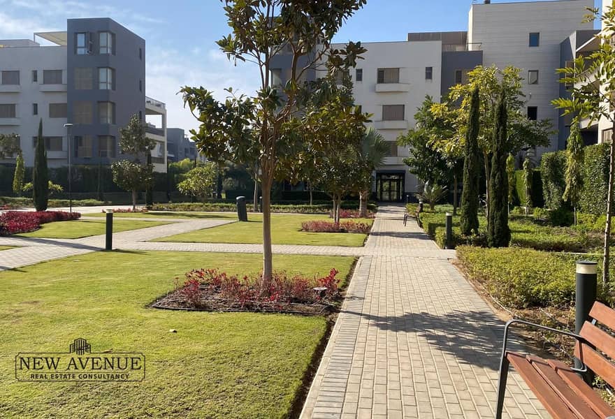 13 4e3edb12-6408-468f-8664-b7a79cee13c0_original (11). jpg