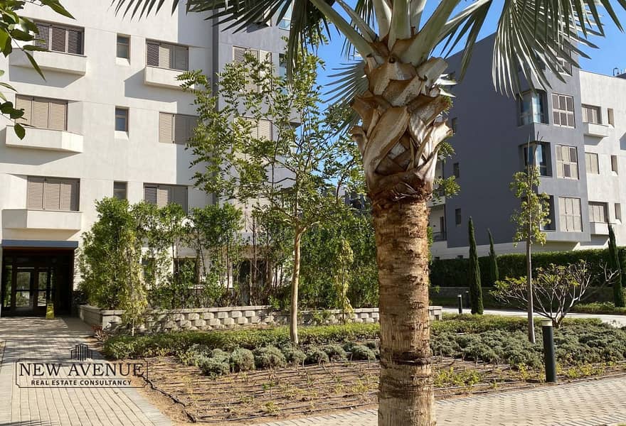 14 4e3edb12-6408-468f-8664-b7a79cee13c0_original (10). jpg