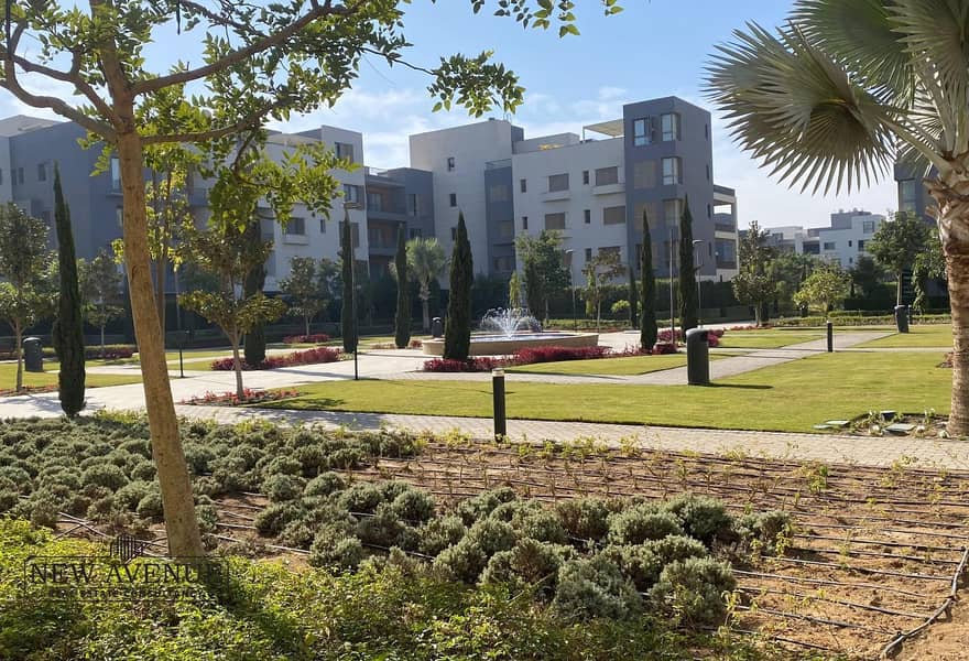 15 4e3edb12-6408-468f-8664-b7a79cee13c0_original (8). jpg