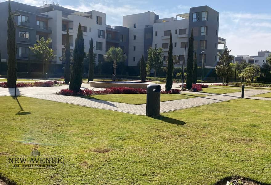 17 4e3edb12-6408-468f-8664-b7a79cee13c0_original (6). jpg