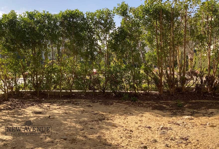 20 4e3edb12-6408-468f-8664-b7a79cee13c0_original (3). jpg