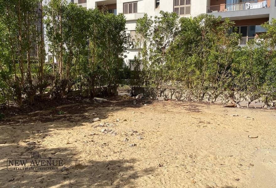 21 4e3edb12-6408-468f-8664-b7a79cee13c0_original (2). jpg