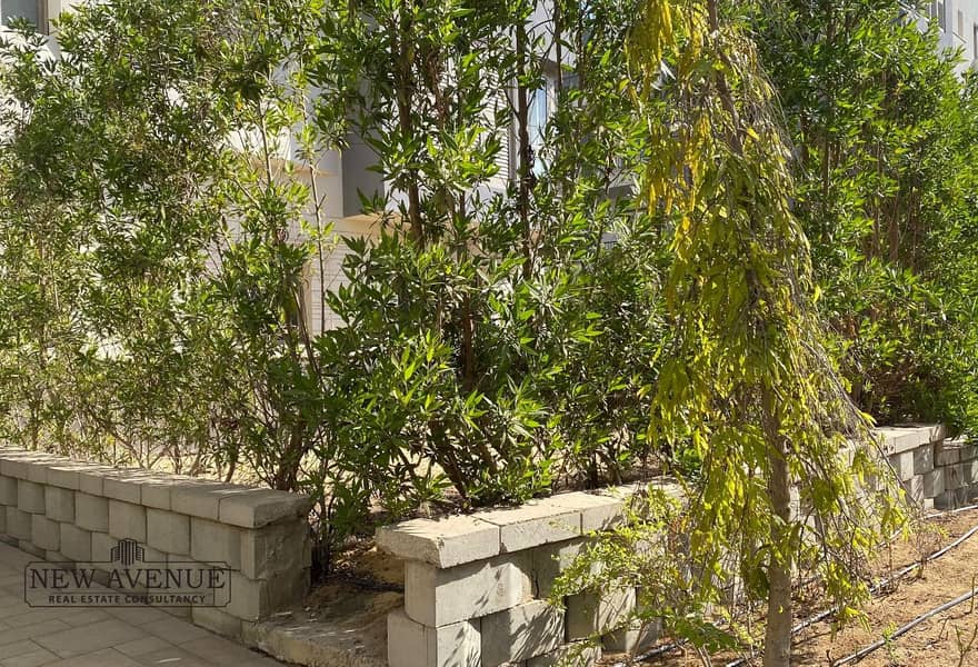 22 4e3edb12-6408-468f-8664-b7a79cee13c0_original (1). jpg