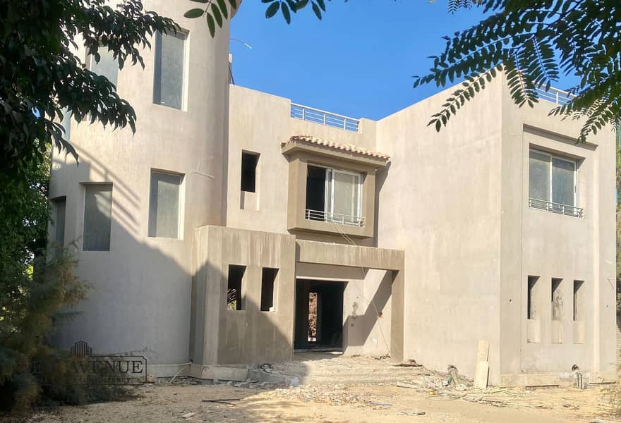 5 original (18). jpg