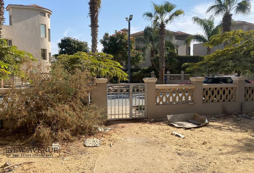 6 original (17). jpg