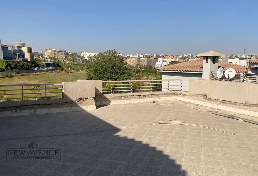 19 original (4). jpg