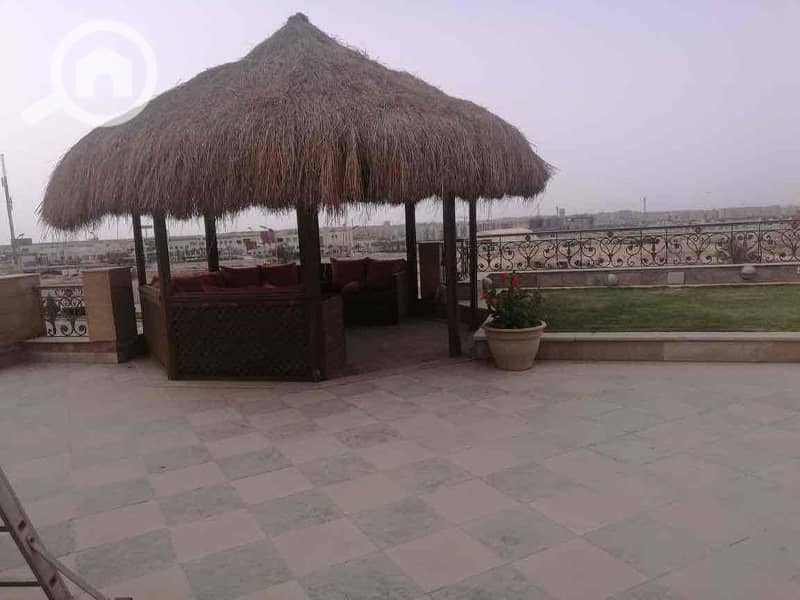 4 d6687747-ab0f-47f5-9def-3f5af73c215a. jpg