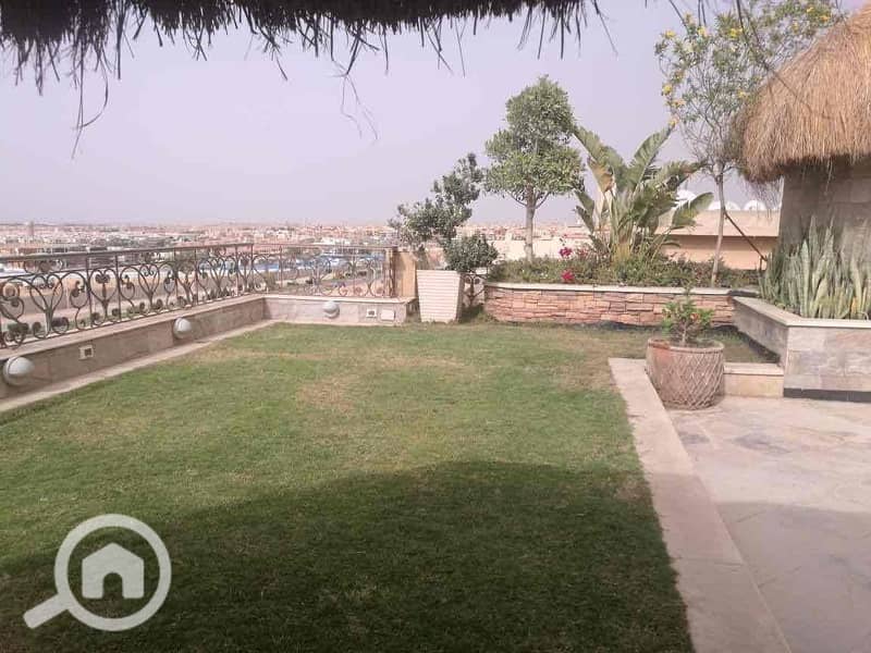 5 900edfb0-d22f-4622-9e5e-c40a75646e38. jpg