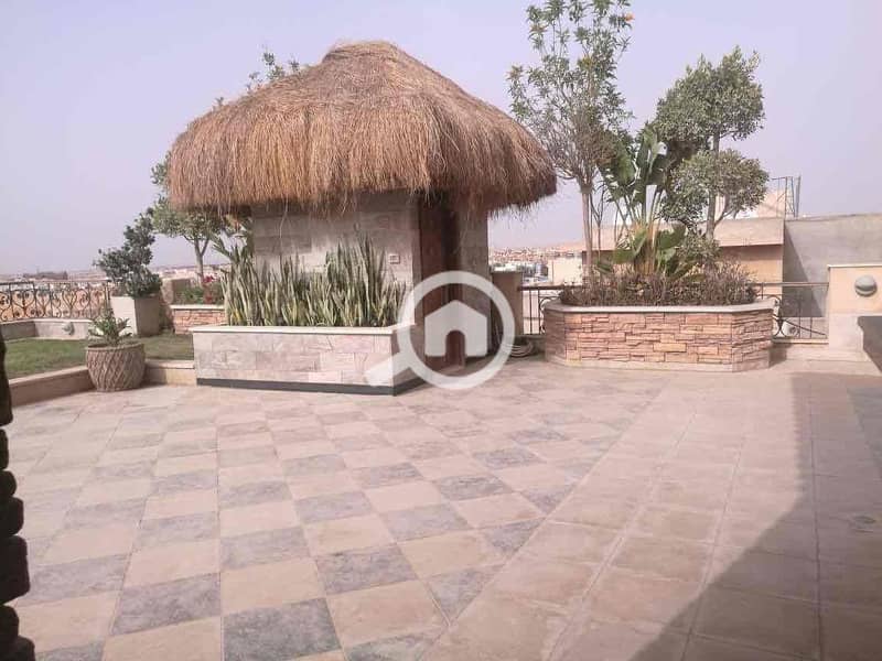 7 885ae124-bd6c-4a9d-b08b-53801db88b90. jpg