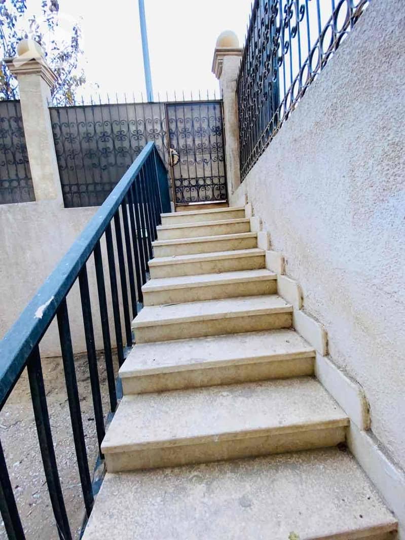 11 07d6603b-7ad0-4548-b207-70b827caacc1. jpg