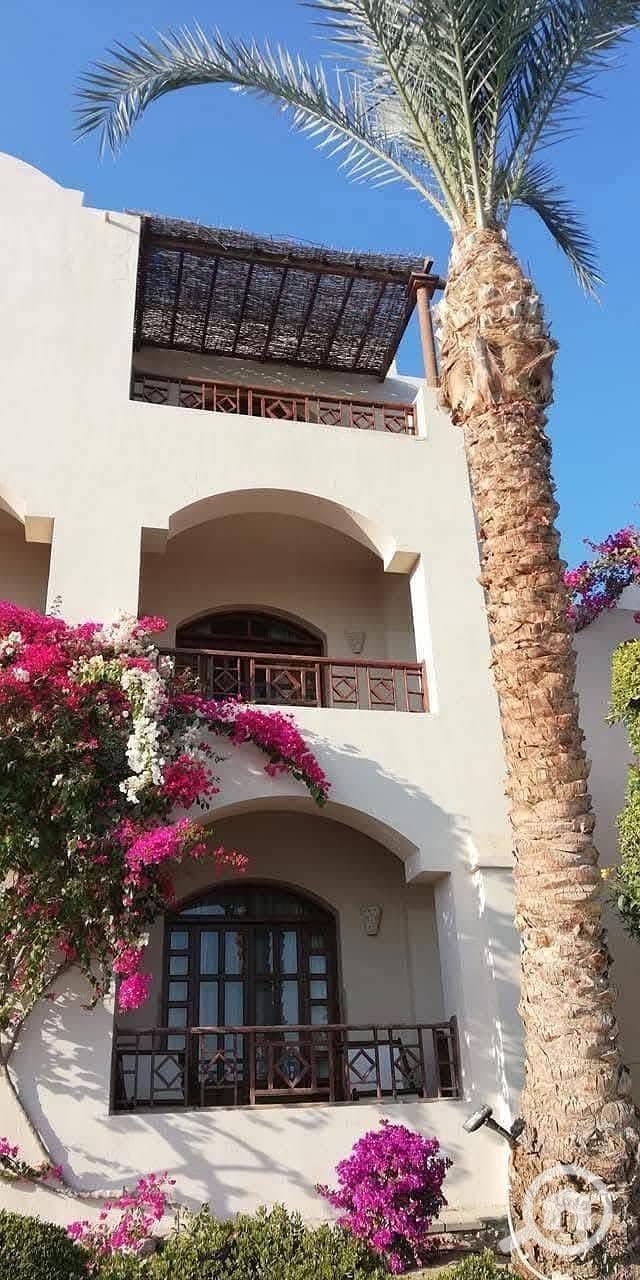 11 f36d307e-fb36-4e6e-86b6-c335ff914614. jpg