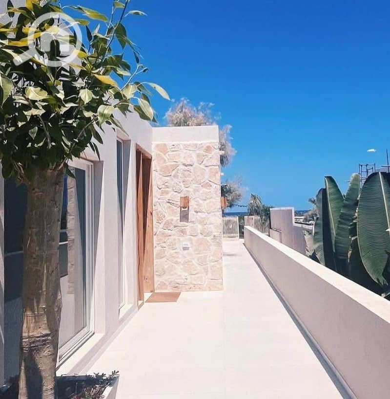 7 491956468_122166297098027760_2775397482534986034_n. jpg