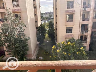 3 Bedroom Flat for Rent in New Cairo, Cairo - IMG-20260116-WA0040. jpg