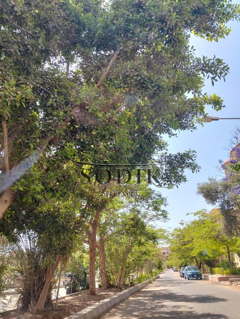 10 WhatsApp Image 2025-05-20 at 2.20. 27 PM (2). jpeg