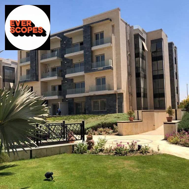 3 556917100_122186531924454983_645761705421627529_n. jpg