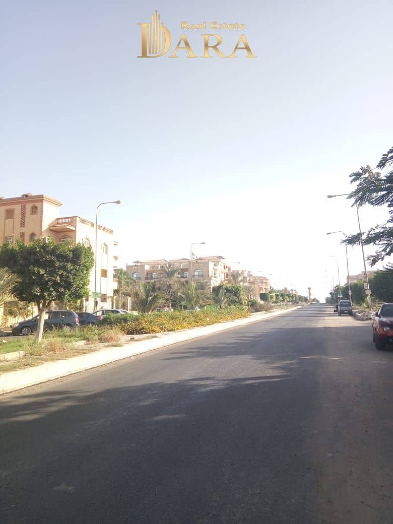 14 77495780-b9bc-495f-97da-4e4bbaf9b2f7. jpg