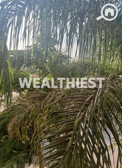 فلیٹ 2 غرفة نوم للبيع في مدينتي، القاهرة - IMG_4005. jpg