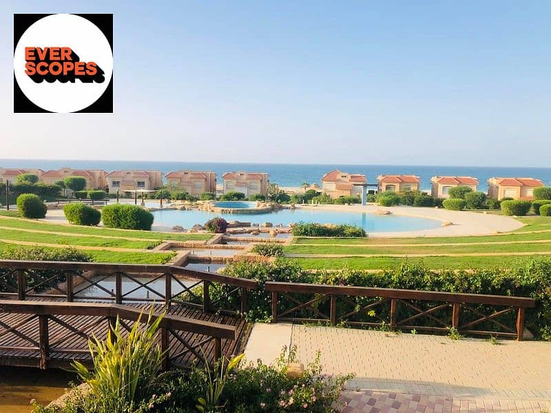 5 291436577_2236628913155197_7052472154132099007_n. jpg