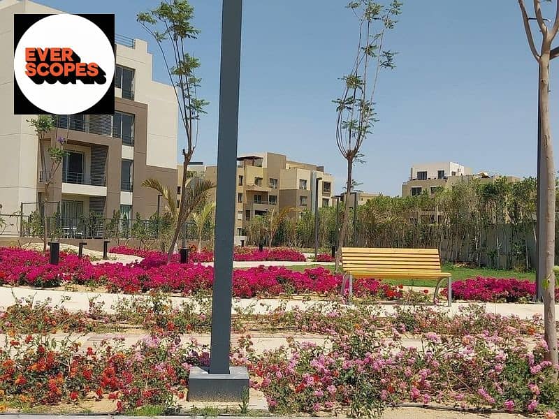 4 416108155_402956708767135_6838920103673753873_n. jpg