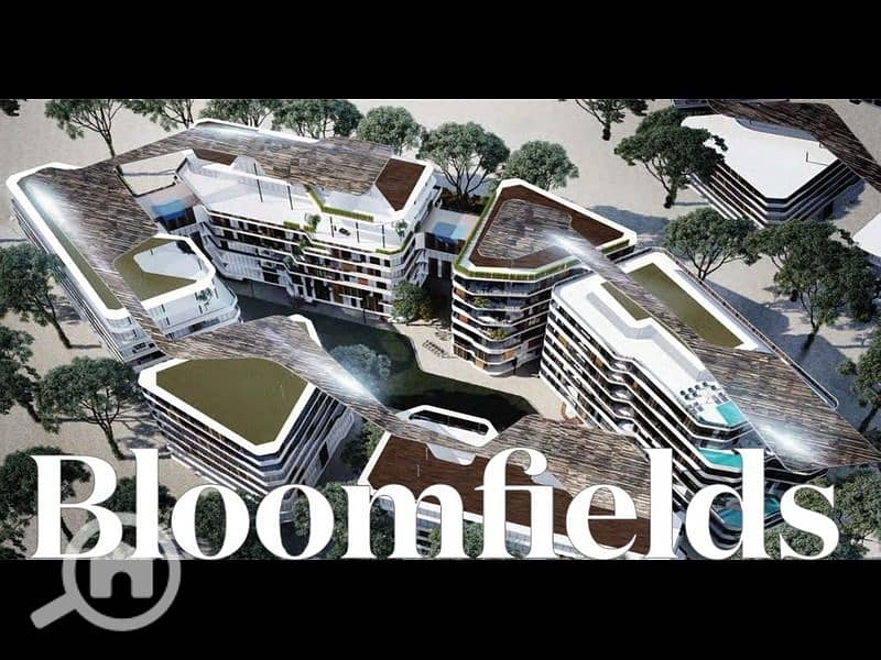 10 pVJ781bCSgxCPxkUU6GOezo8PZrxee-1024x536. jpg