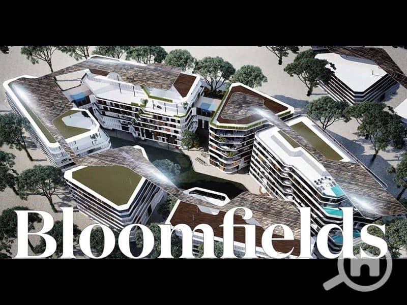 10 pVJ781bCSgxCPxkUU6GOezo8PZrxee-1024x536. jpg