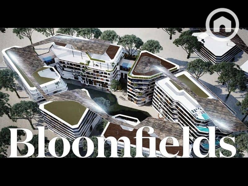 10 pVJ781bCSgxCPxkUU6GOezo8PZrxee-1024x536. jpg