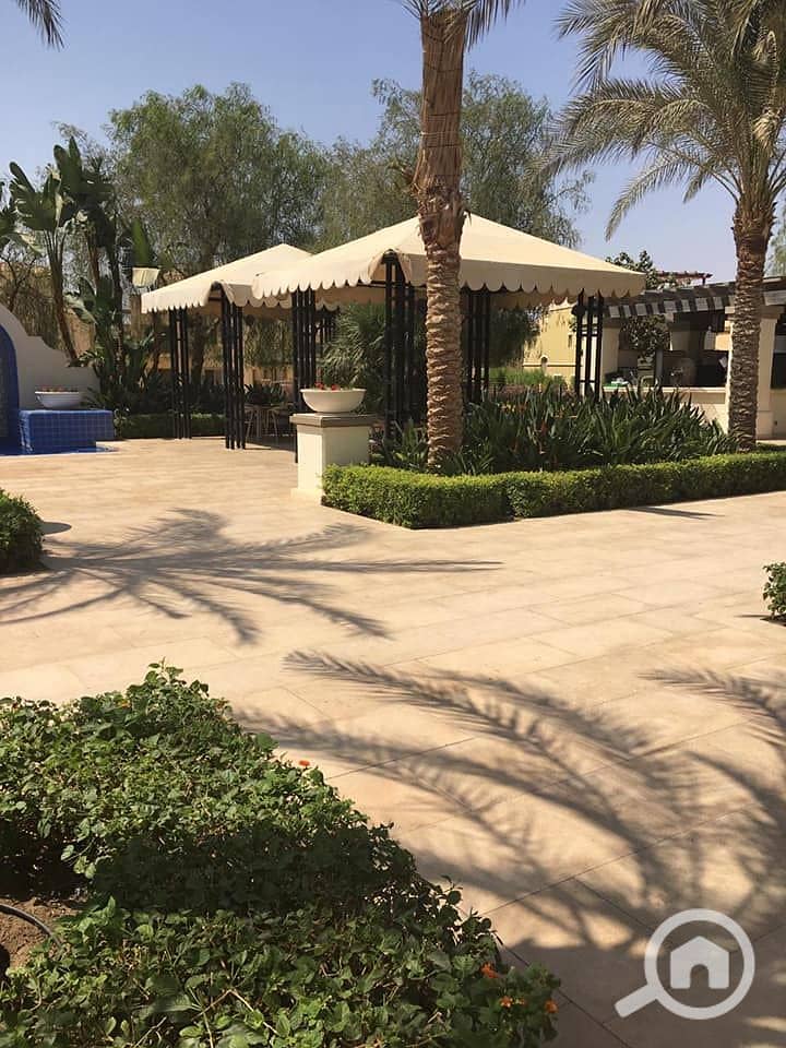 7 72470582_642980239562506_8273268860879110144_n. jpg