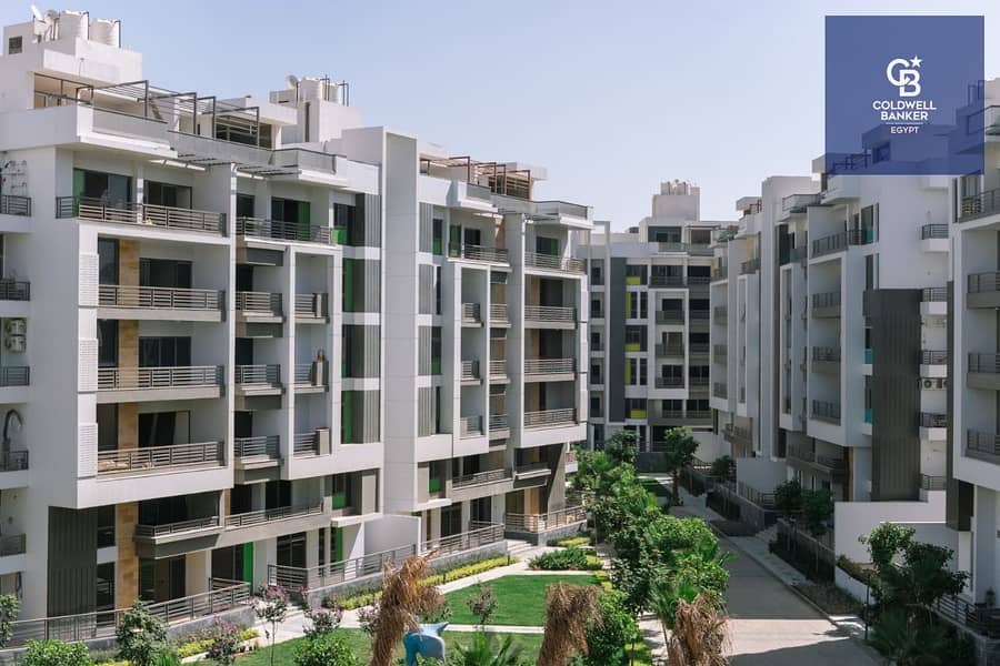 5 WhatsApp Image 2026-01-13 at 18.56. 04_47e96f7f. jpg