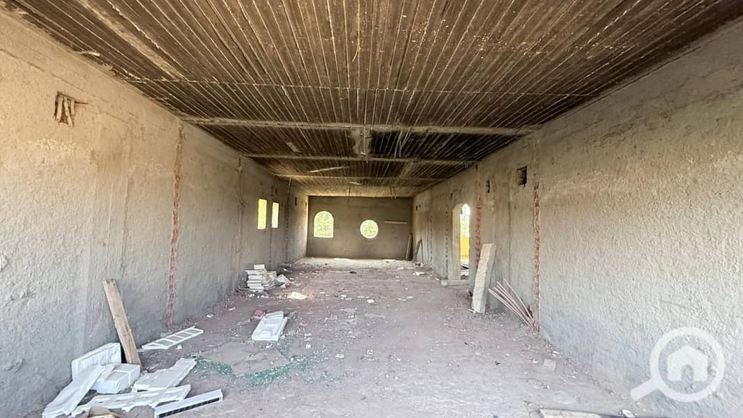 4 3b212bed-b5b4-4937-bfa1-7598cf57b5f8. jpeg