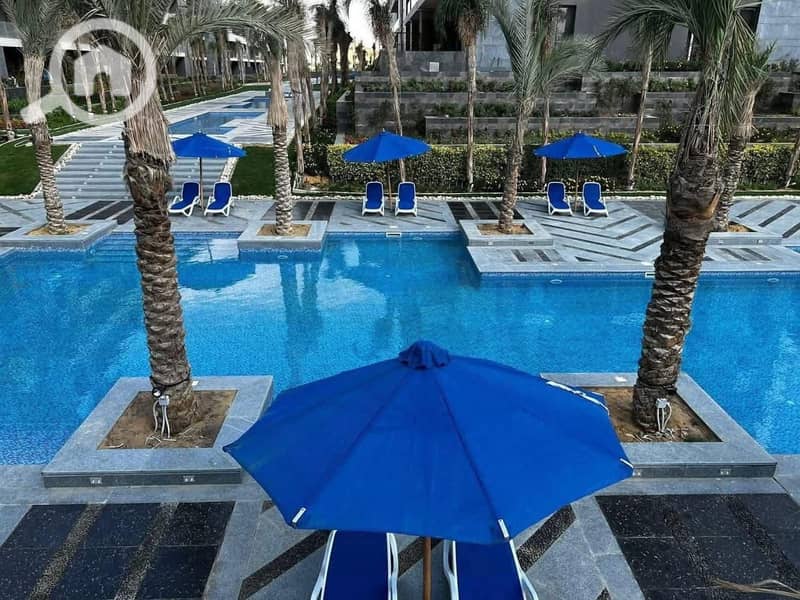 5 1389c89c-9681-43a3-8fc8-fe08d5e6fb98. jpg