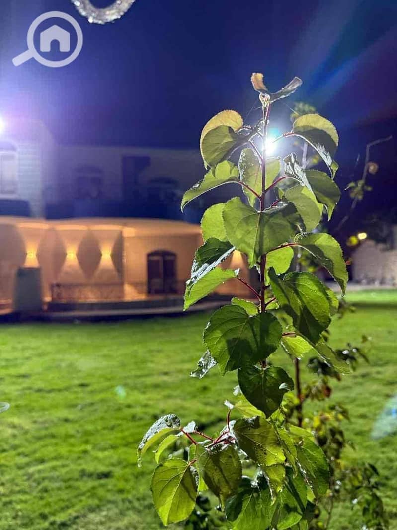 2 7c9ef4cc-cdd9-4094-a2a2-734ce487b595. jpg