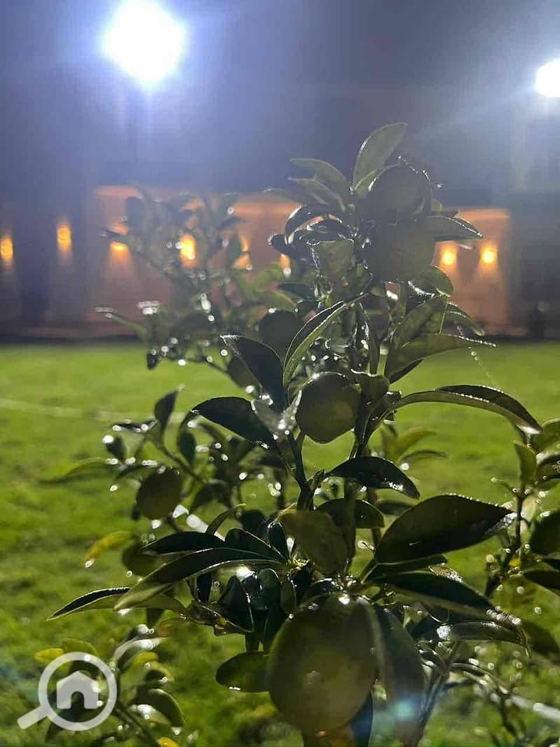 3 6346bb28-4d7b-4772-8d12-31b0b40ec256. jpg