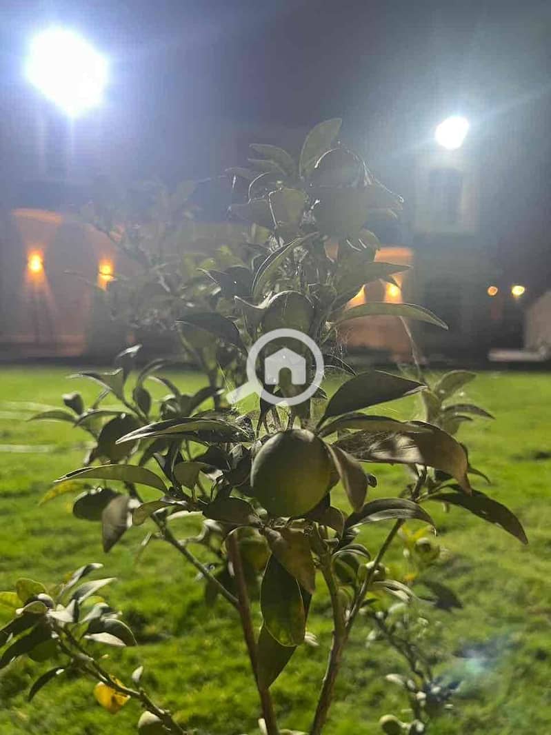 5 0c9072d6-c038-40a0-894c-f95439ab454d. jpg