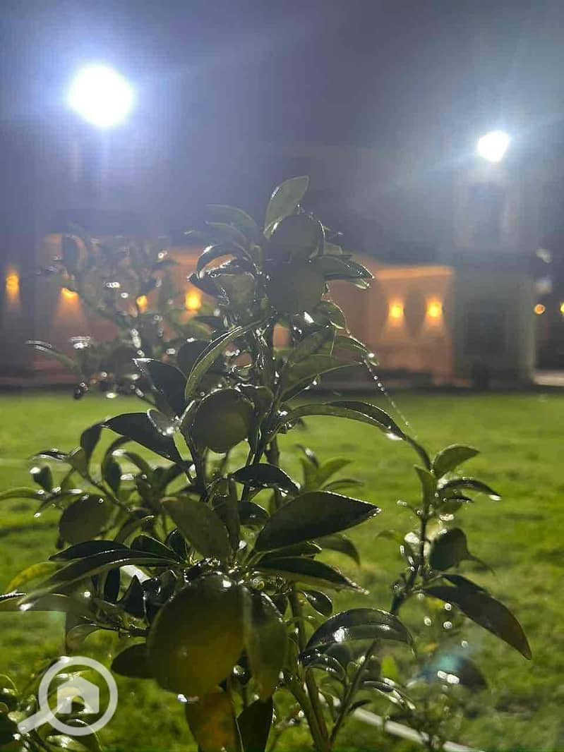 23 867a018d-4b56-4f7e-b3b5-d213a2a09477. jpg