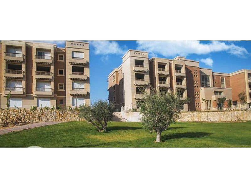 6 new-giza - Copy - Copy - Copy (2). jpg