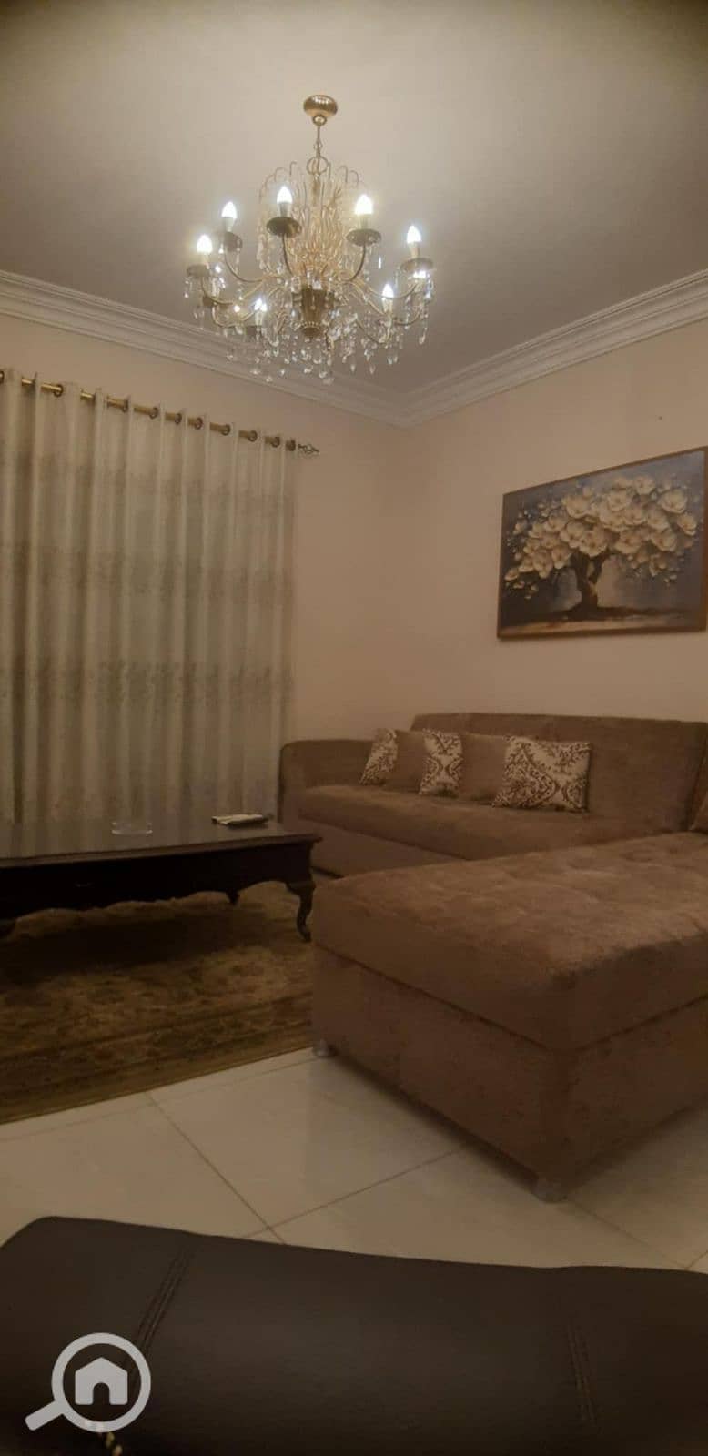 5 WhatsApp Image 2026-01-15 at 1.38. 03 PM (1). jpeg