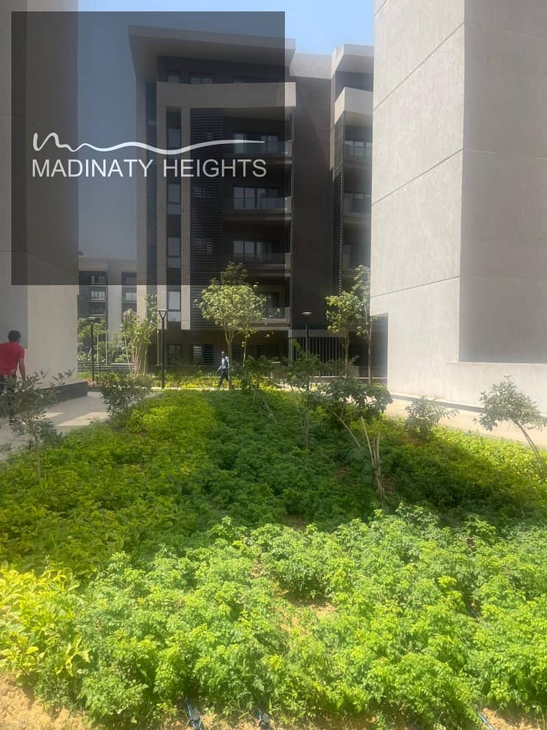 3 WhatsApp Image 2026-01-12 at 1324324.50. 11 PM. jpeg