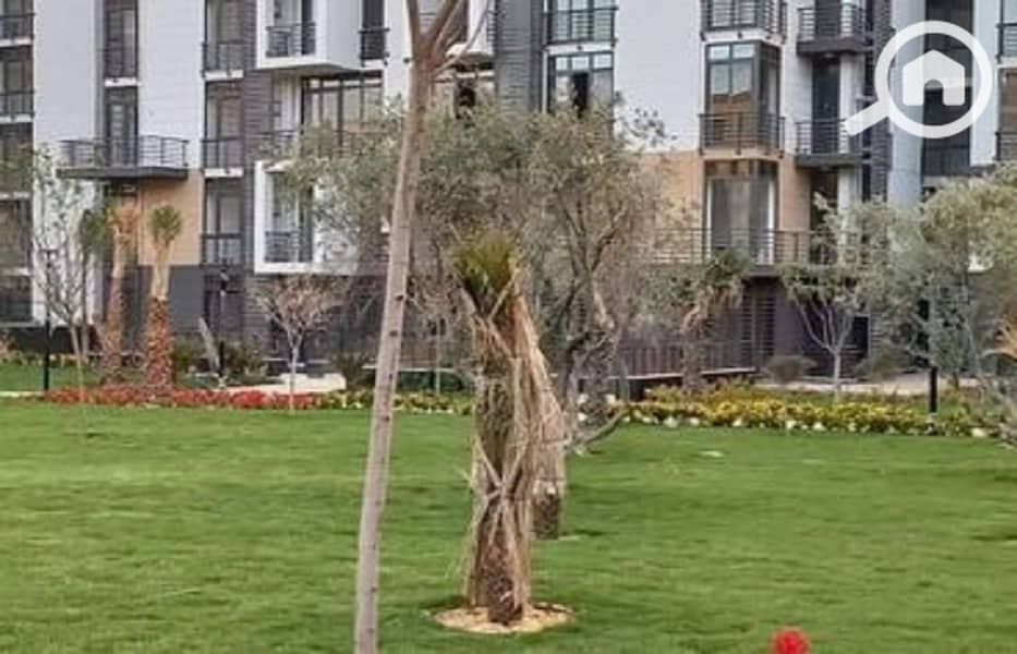 2 655cc1ffdd2ab809211714. jpg