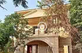 9 images - 2025-10-06T223329.093. jpeg