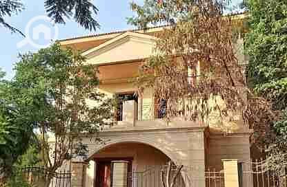 11 7806197-7ea2eo. webp