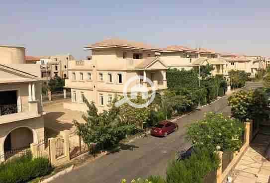 14 images - 2025-10-06T222743.801. jpeg