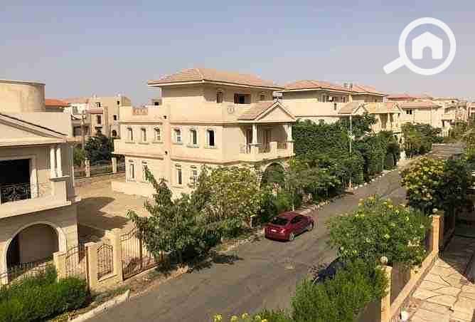 15 images - 2025-10-13T013110.263. jpeg