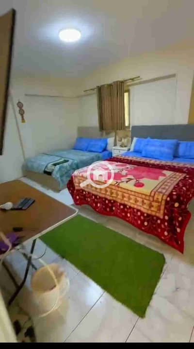 2 Bedroom Flat for Rent in Dokki, Giza - 1000412289. jpg