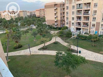 فلیٹ 3 غرف نوم للايجار في مدينتي، القاهرة - 1001473562. jpg