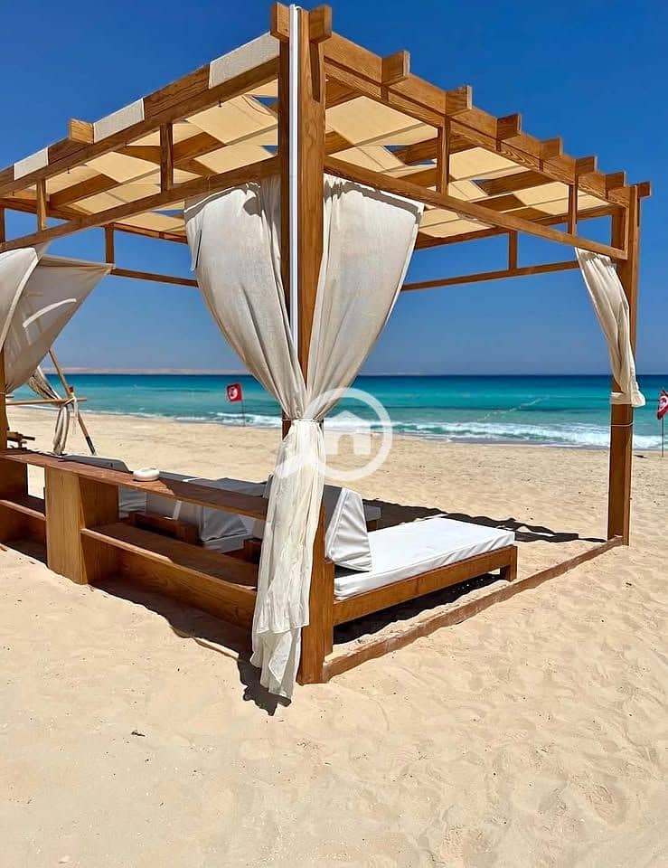 14 465369109_27455669997380918_4329224857269652790_n. jpg